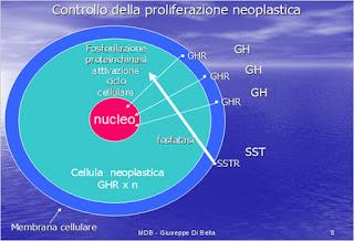 Dottor di Bella a Telecolor: MDB, prevenzione e le ultime straordinarie new’s.