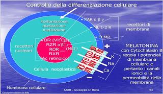 Dottor di Bella a Telecolor: MDB, prevenzione e le ultime straordinarie new’s.