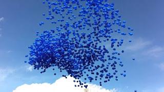 BLU BLU