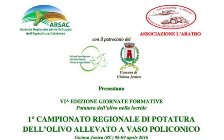 Campionato di potatura in Calabria. Campionato di potatura in Calabria.