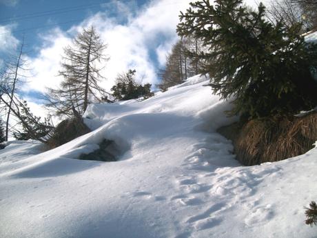 Il silenzio della neve - Foto Guido Comin PoetaMatusèl L’UOMO ERA PER TUTTE LE STAGIONI
