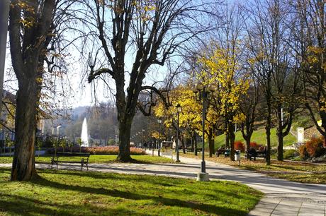 PONTE DI APRILE ALLE TERME ROGÂSKA _SAM9862