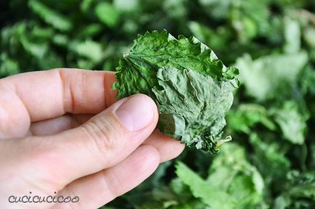 Come fare la polvere di ortica fai da te dall’erbaccia L'ortica è salutare e deliziosa! Impara come fare la polvere di ortica fai da te e sarai felice di vedere l'erbaccia nel giardino! www.cucicucicoo.com