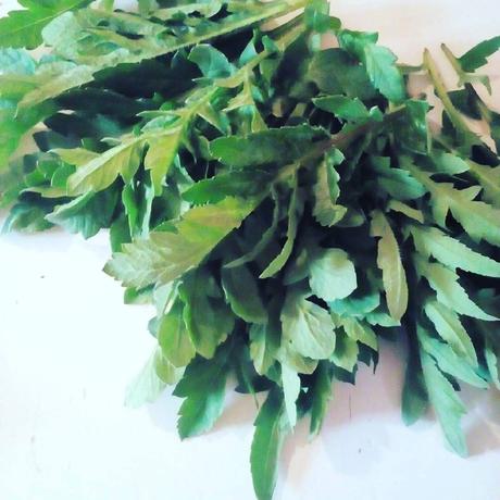 Piante spontanee di Aprile: piccole regole per la raccolta 12779290_897774256988502_6989277317371023647_o