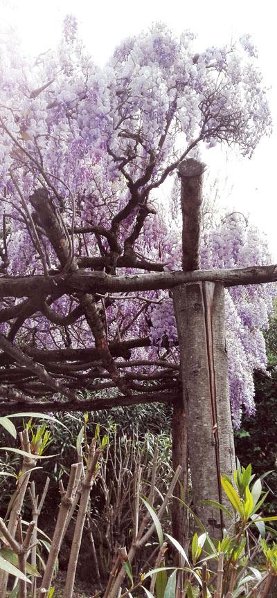 il giardino giapponese di Roma giargino giapponese roma_viaggiandovaldi