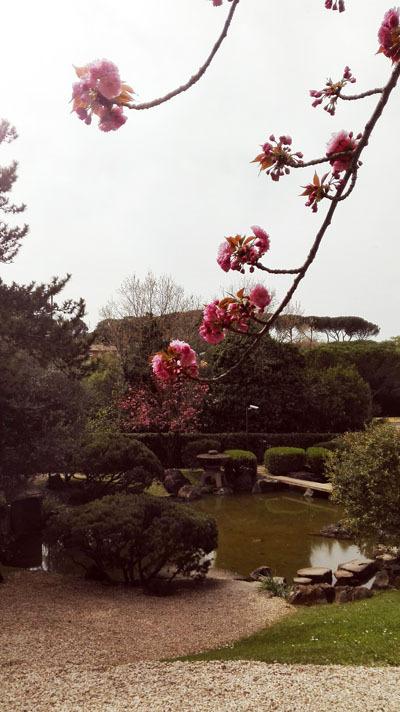 il giardino giapponese di Roma giargino giapponese roma_viaggiandovaldi