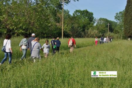 Il risveglio del bosco – Grottammare Il risveglio del bosco_legambiente_sbt