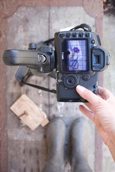 aboutgarden per Manfrotto Imagine More Posa con treppiede Manfrotto