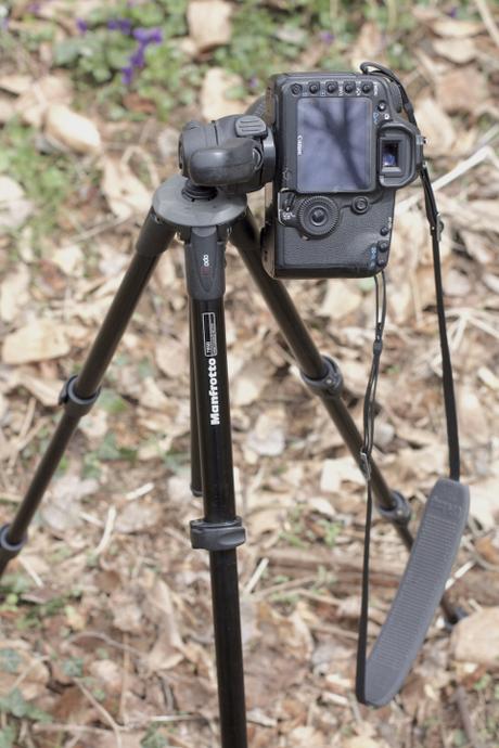 aboutgarden per Manfrotto Imagine More cavalletto Manfrotto