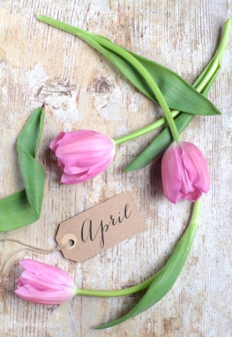annotazioni creative #aprile2016 tulipani aprile