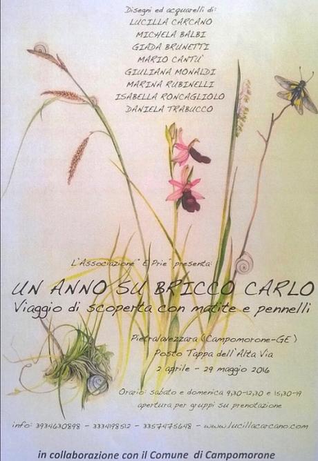 annotazioni creative #aprile2016 mostra acquarello