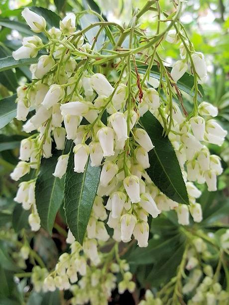 Un po' di giardinaggio Un po' di giardinaggio