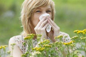 I rimedi naturali contro le allergie primaverili allergie primaverili