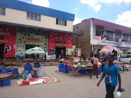 La Scelta zambia