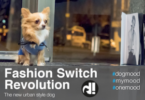 Huggy: la nuova linea di abbigliamento per cani Schermata 2016-04-07 alle 10.08.56