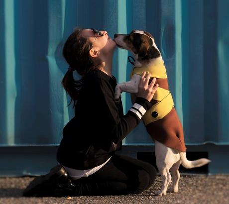 Huggy: la nuova linea di abbigliamento per cani 12901442_1205358592810699_1359987111072683245_o