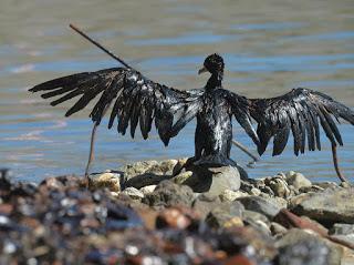 Petrolio, la meravigliosa schiavitù Petrolio, la meravigliosa schiavitù