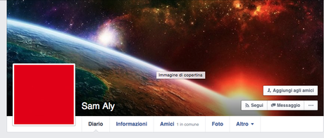 ALTRI INTEGRALISTI MUSULMANI NELLE LISTE DEL PD? IL CASO DI ALY E DEL SUO MAESTRO SPIRITUALE, IL MULLAH DI CINISELLO foto 1