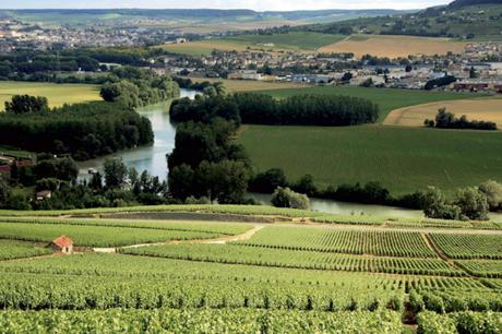 L’Europa romantica champagne-ardenne-larte-di-vivere-tra-le-vigne-des-129682