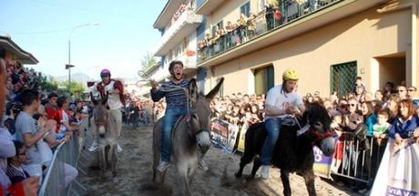 4 sagre in Campania: weekend 7-8 maggio 2016 4 sagre in Campania: weekend 7-8 maggio 2016