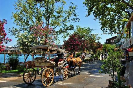 Princes Islands Istanbul 1437072675017