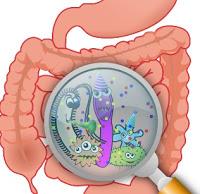 Probiotici e prebiotici Probiotici e prebiotici