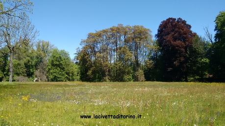 Il monumento al cagnolino Werter nel parco del Castello di Racconigi Parco del Castello di Racconigi