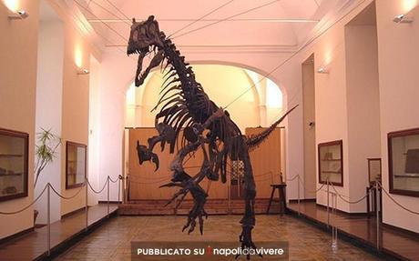 Musei Universitari di Napoli: aperti il Sabato ad 1 euro Musei Universitari di Napoli: aperti il Sabato ad 1 euro