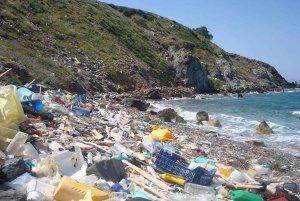 Inquinamento e degrado ambientale uccidono più delle guerre inquinamento