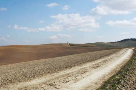 Siena sperimenta il FrecciaLink Siena sperimenta il FrecciaLink