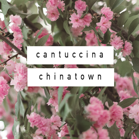 Cantuccina: Il blog si stile di Chinatown, Prato! 13007080_1613391175650152_7873421745719643534_n