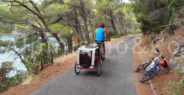 Viaggiare in Mountain bike con il cane 04-viaggiare-cane-mountain-bike