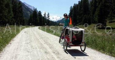 Viaggiare in Mountain bike con il cane 06-viaggiare-cane-mountain-bike