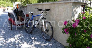 Viaggiare in Mountain bike con il cane 02-viaggiare-cane-mountain-bike