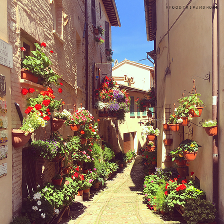 Il weekend in Umbria: tra vino, cucina stellata e tradizioni spello2