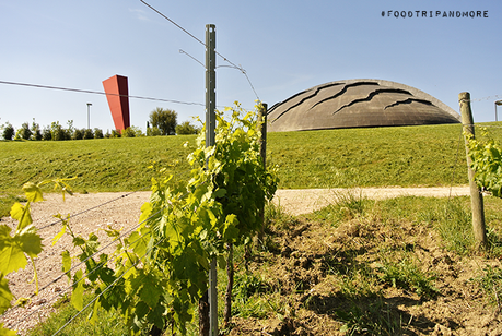 Il weekend in Umbria: tra vino, cucina stellata e tradizioni CARAPACE2