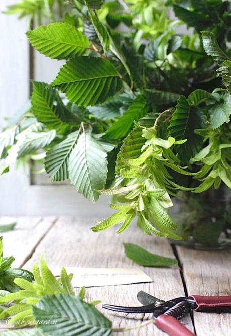 DIY: ghirlanda di fiori di carpino bianco infiorescenze carpino