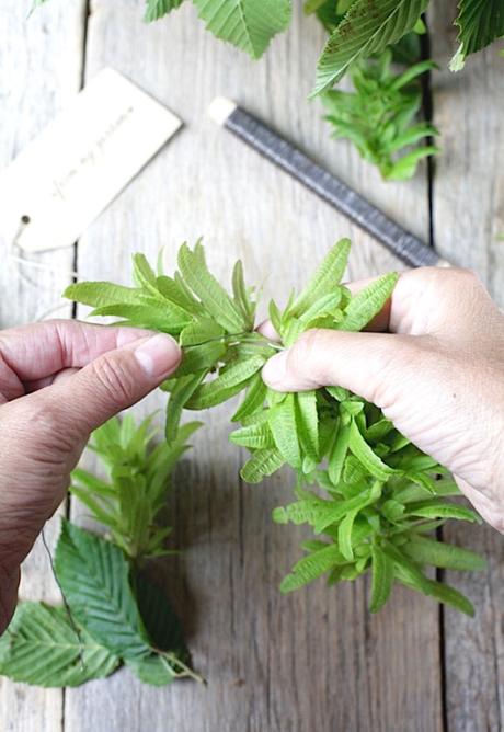 DIY: ghirlanda di fiori di carpino bianco avvolgere in spirale le bratteee