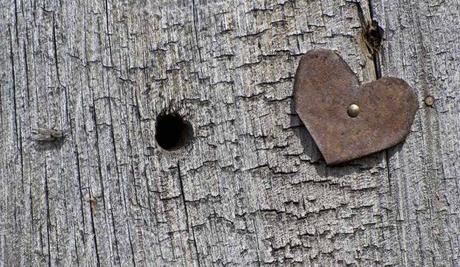 Amore un anno dopo. 365 giorni non bastano Amore un anno dopo. 365 giorni non bastano