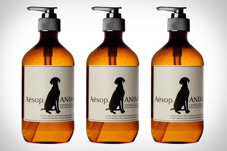 Il lunedì illuminante. L’estate addosso aesop-animal-wash