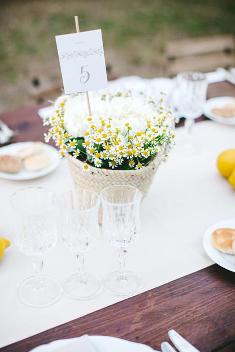 Project | Chamomile Bucolic Suite | #01 Project | Chamomile Bucolic Suite | #01