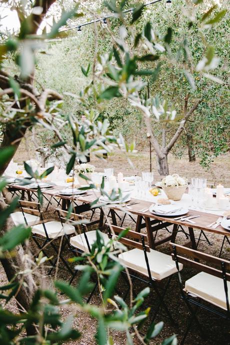 Project | Chamomile Bucolic Suite | #01 Project | Chamomile Bucolic Suite | #01