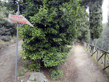 Isola Maggiore…il fascino di dormire in mezzo al Lago Trasimeno isolamaggiore_umbria_viaggiandovaldi