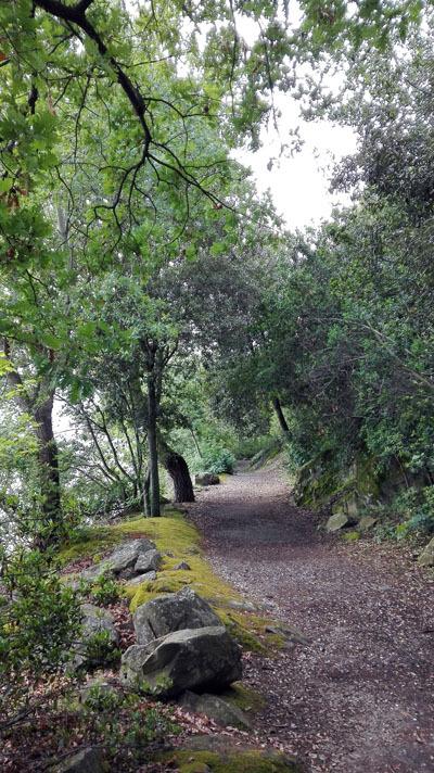 Isola Maggiore…il fascino di dormire in mezzo al Lago Trasimeno isolamaggiore_umbria_viaggiandovaldi