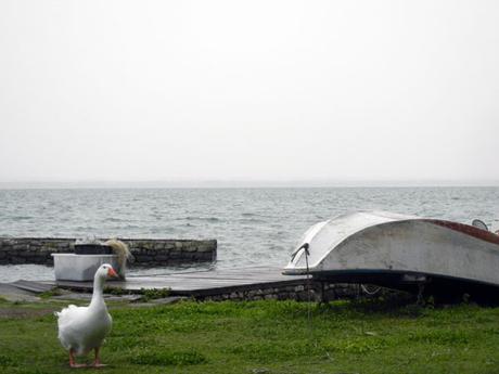 Isola Maggiore…il fascino di dormire in mezzo al Lago Trasimeno isolamaggiore_umbria_viaggiandovaldi