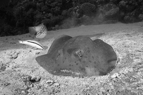 I colori della vita I colori della vita