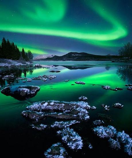 I colori della vita I colori della vita