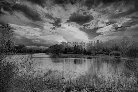 I colori della vita I colori della vita