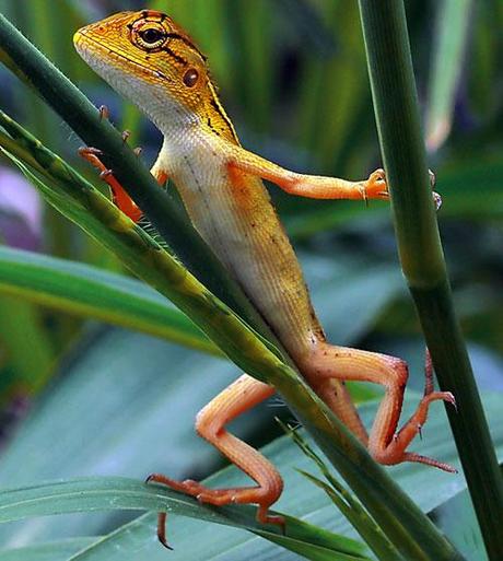 I colori della vita I colori della vita