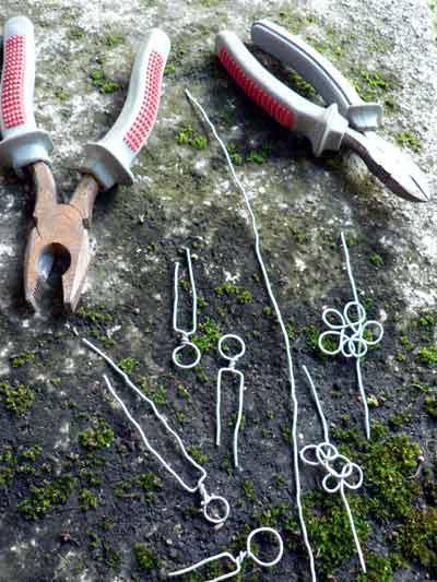 Filo spinato fiorito / Flowering barbed wire